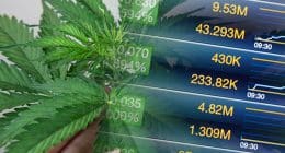 Watching Marijuana Stock July 2021