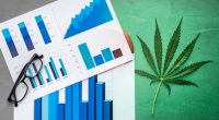 Best Cannabis Stocks 2021