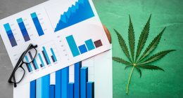 Best Cannabis Stocks 2021