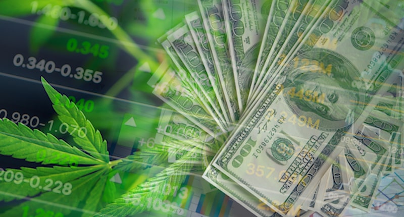 Best Cannabis Stocks In August 2021