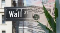 Best Marijuana Stocks On Wall Street 2021