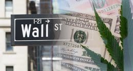 Best Marijuana Stocks On Wall Street 2021