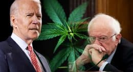 Biden And Sanders On US Cannabis Legalization