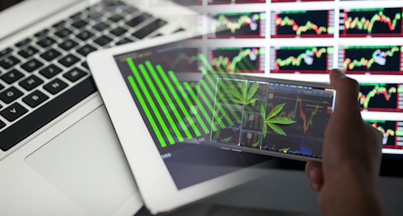 Cannabis Stocks In August To Watch