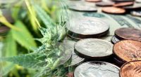 Cannabis Penny Stocks For Your List In September