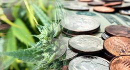 Cannabis Penny Stocks For Your List In September