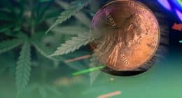 Top Marijuana Penny Stocks In August 2021