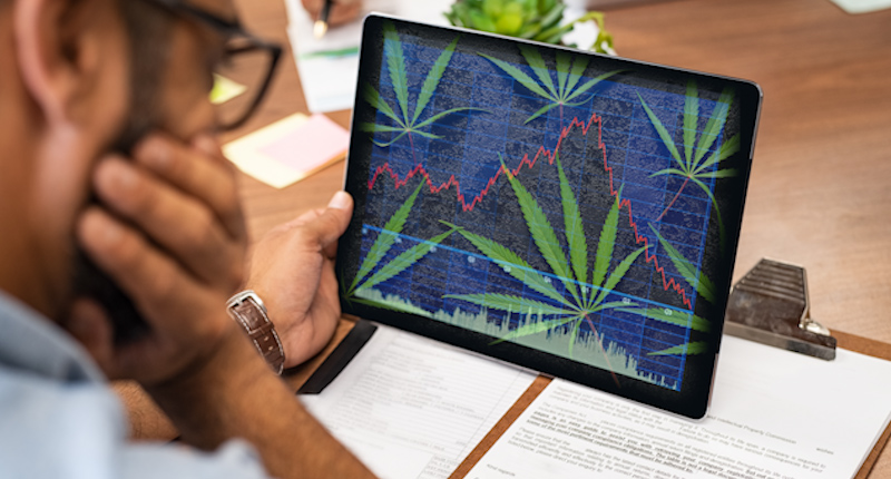 Top Marijuana Stocks In 2021 Right Now