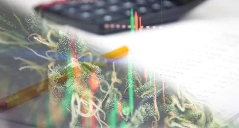 Best Cannabis Stocks First Week In September 2021