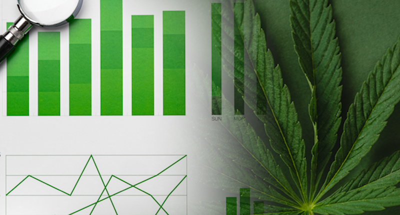 Best Pot Stocks in 2024 Right Now