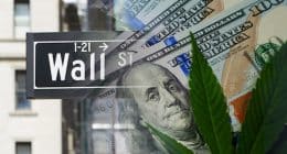 Cannabis And Wall Street