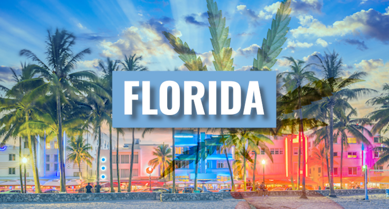 Florida May Legalize The Adult Use Of Cannabis In 2022   Florida Cannabis Reform 