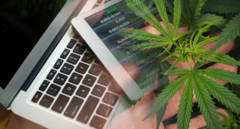 Marijuana Stocks To Buy After SFAE Banking Act
