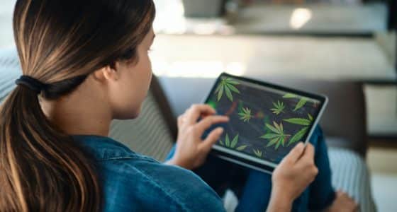 Pot Stocks To Watch In 2025