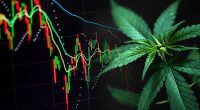 Watching Marijuana Stocks In September