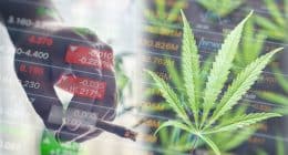 Best Cannabis Stocks In 2021 Right Now