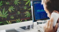 Cannabis Stocks For Your Watchlist Today