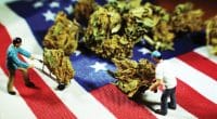 Cannabis USA Federal