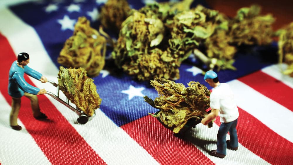 Cannabis USA Federal