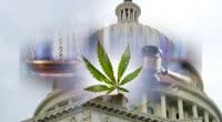 Marijuana Decriminalization and Reform