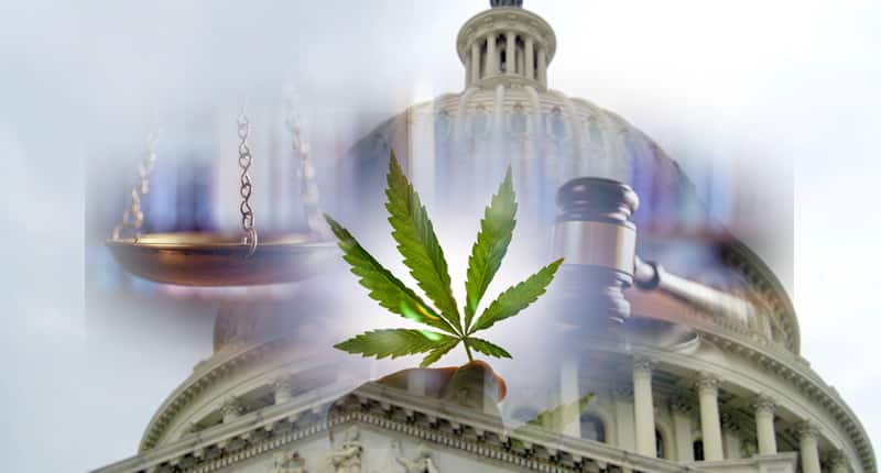 Marijuana Decriminalization and Reform