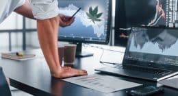 Top Marijuana Stocks Second Week In October