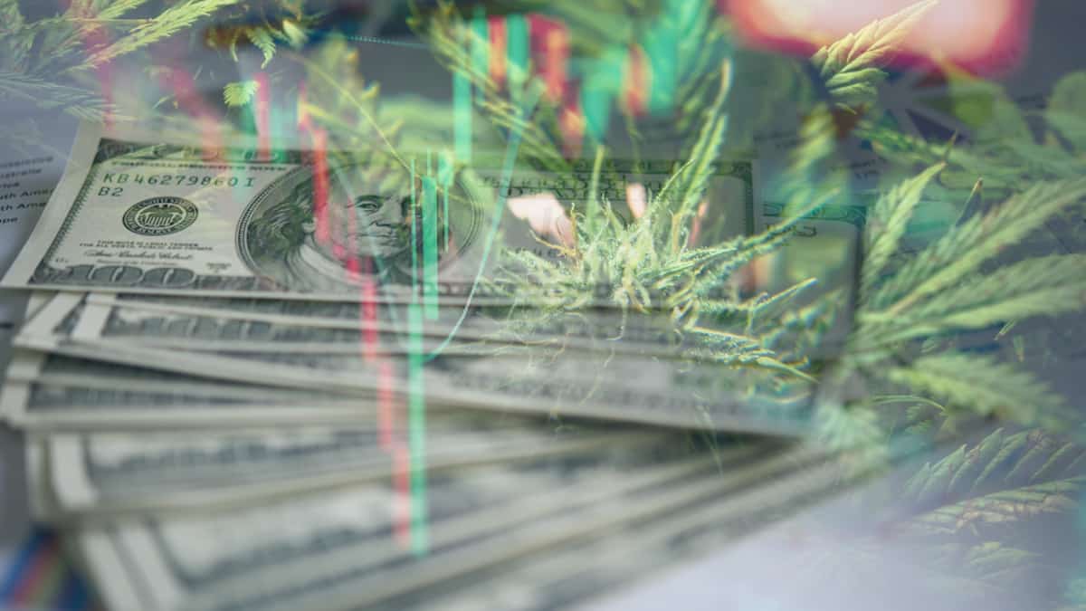 Best Cannabis Stocks Before Next Week In November