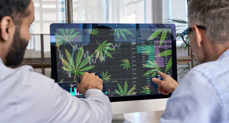 Best Cannabis Stocks For Upside In November