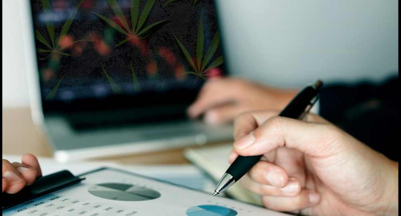 Best Cannabis Stocks For Your List Before 2024