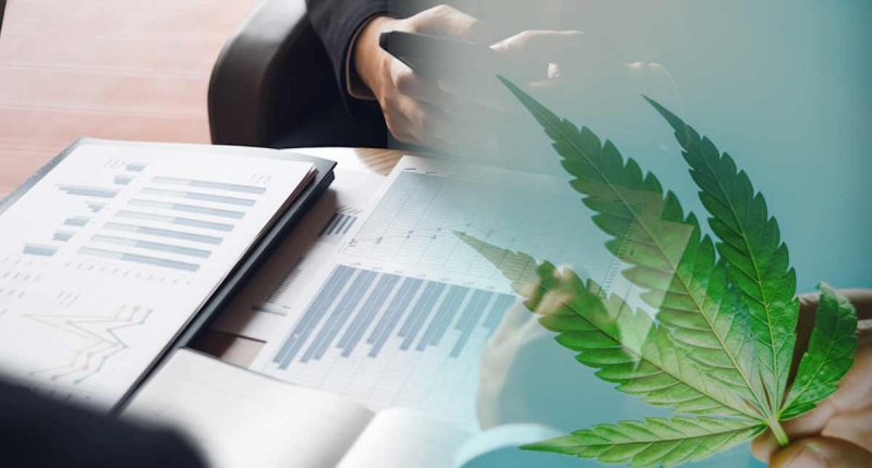 Best Cannabis Stocks To Buy Today