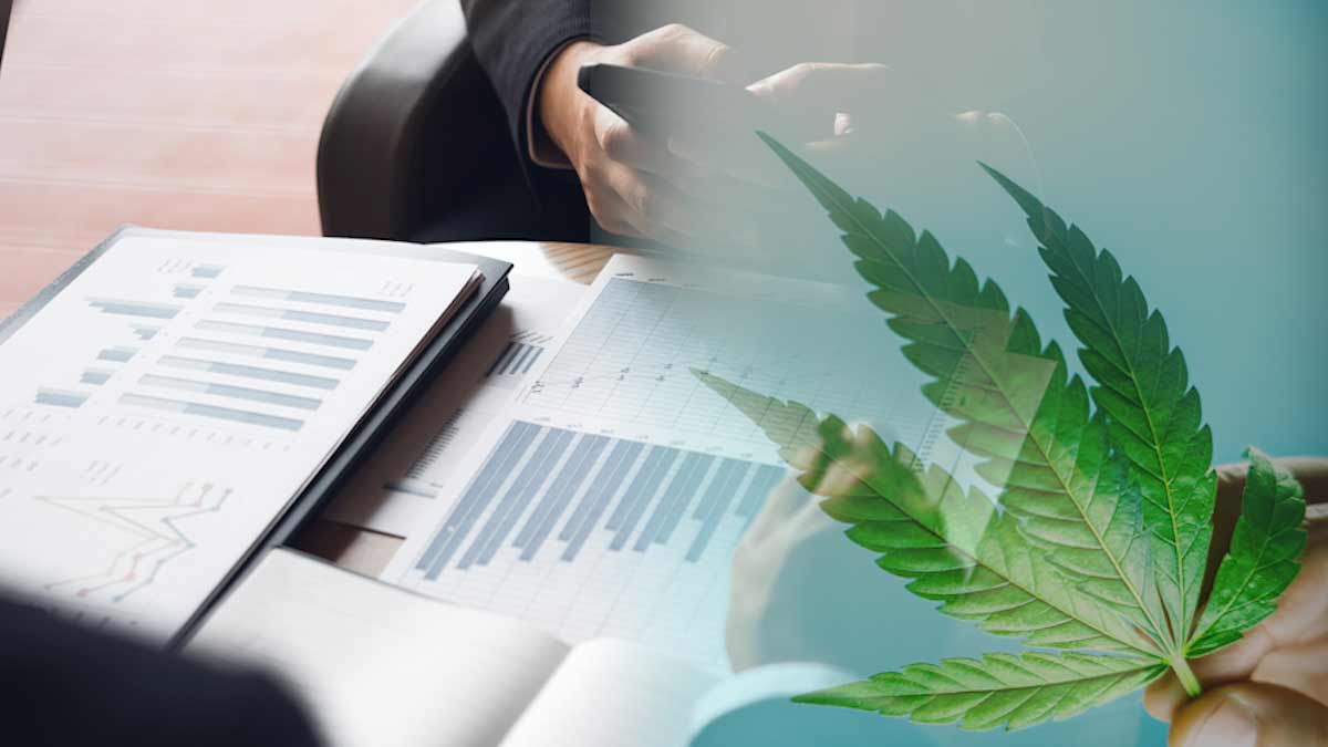 Best Cannabis Stocks To Buy Today
