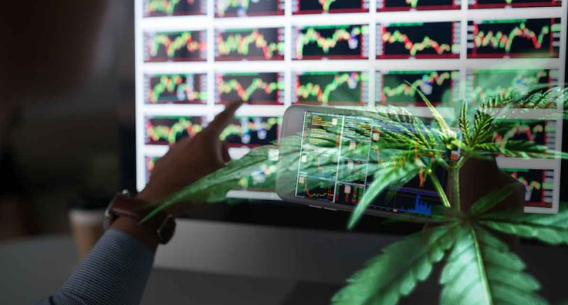 Best Cannabis Stocks To Watch Today In 2021_