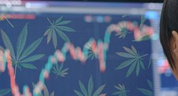 Best Pot Stocks In The First Week Of November 2021