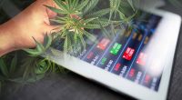 Best Pot Stocks To Buy In This Pullback