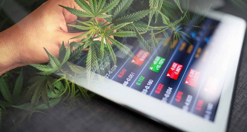 Best Pot Stocks To Buy In This Pullback