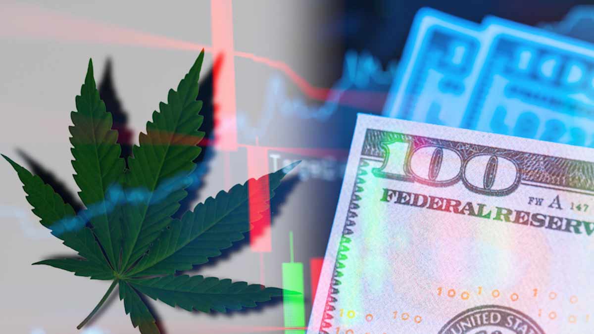 Marijuana Stocks To Buy Before December