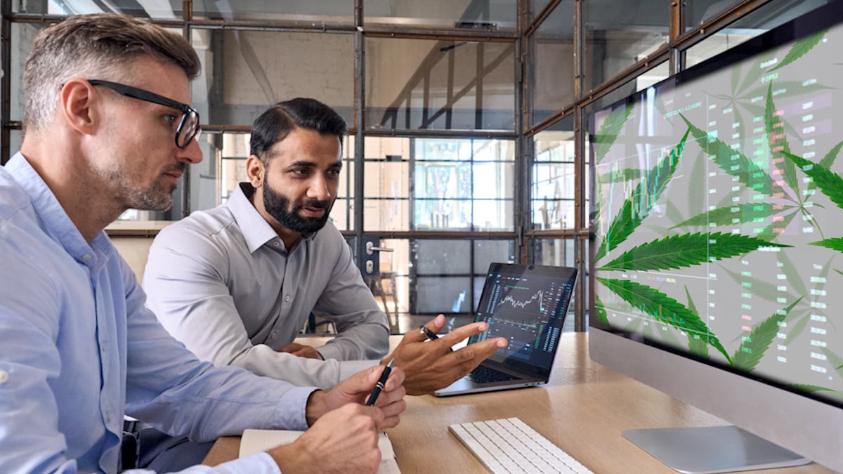 Top Cannabis Stocks For Your List 2nd Week In November