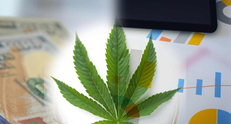 Top Pot Stocks In 2023 To Buy This Week