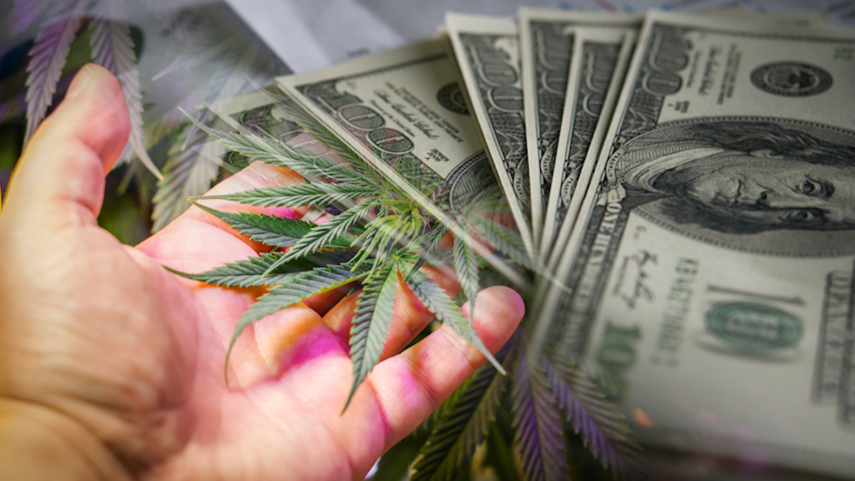Best US Marijuana Stocks To Buy Right Now? 2 To Add To Your List