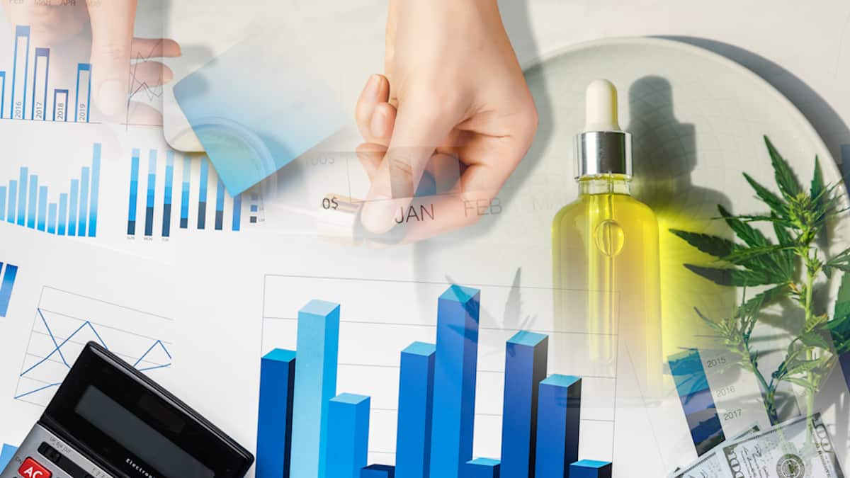 Top Pot Stocks To Buy 2nd Week In November 2021