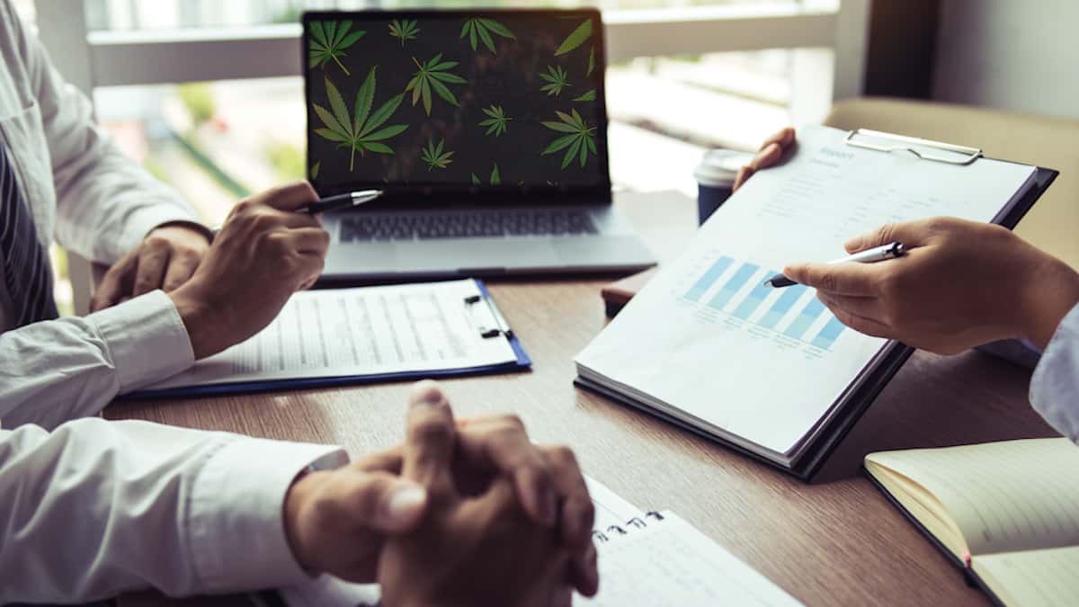 Watching The Best Marijuana Stocks To Buy Right Now