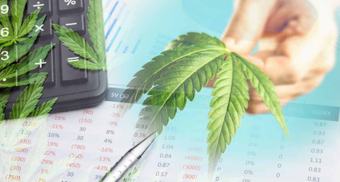 What Is The Current State of The Marijuana Industry Marijuana Stocks Cannabis Investments