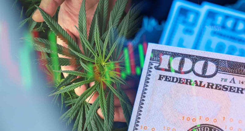 Best Marijuana Stocks To Buy First Full Week In December