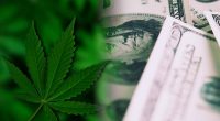 Best Pot Stocks Before 2022 To Watch