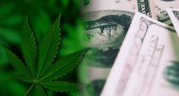 Best Pot Stocks Before 2022 To Watch