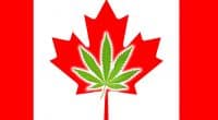 Canadian Marijuana Stocks 2022