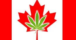 Canadian Marijuana Stocks 2022