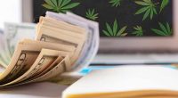 Cannabis Stocks For December 2021 Upside