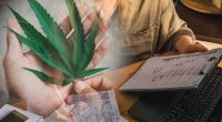 Cannabis Stocks For Your 2022 Watchlist