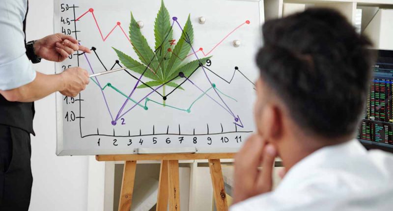 Cannabis Stocks To March 2024